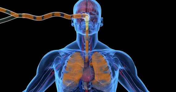 AV-11_LiquidBh264-11