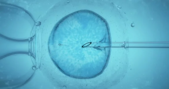 Screen Shot 2022-10-01 at 5.39.17 PM