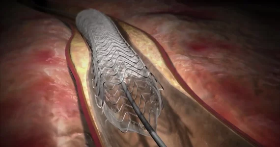 Screen Shot 2022-10-01 at 5.40.48 PM